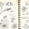 Page 13.