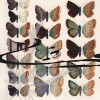 Etude de papillons II - Spirale