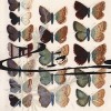 Etude de papillons II - Spirale