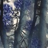 L'arbre II